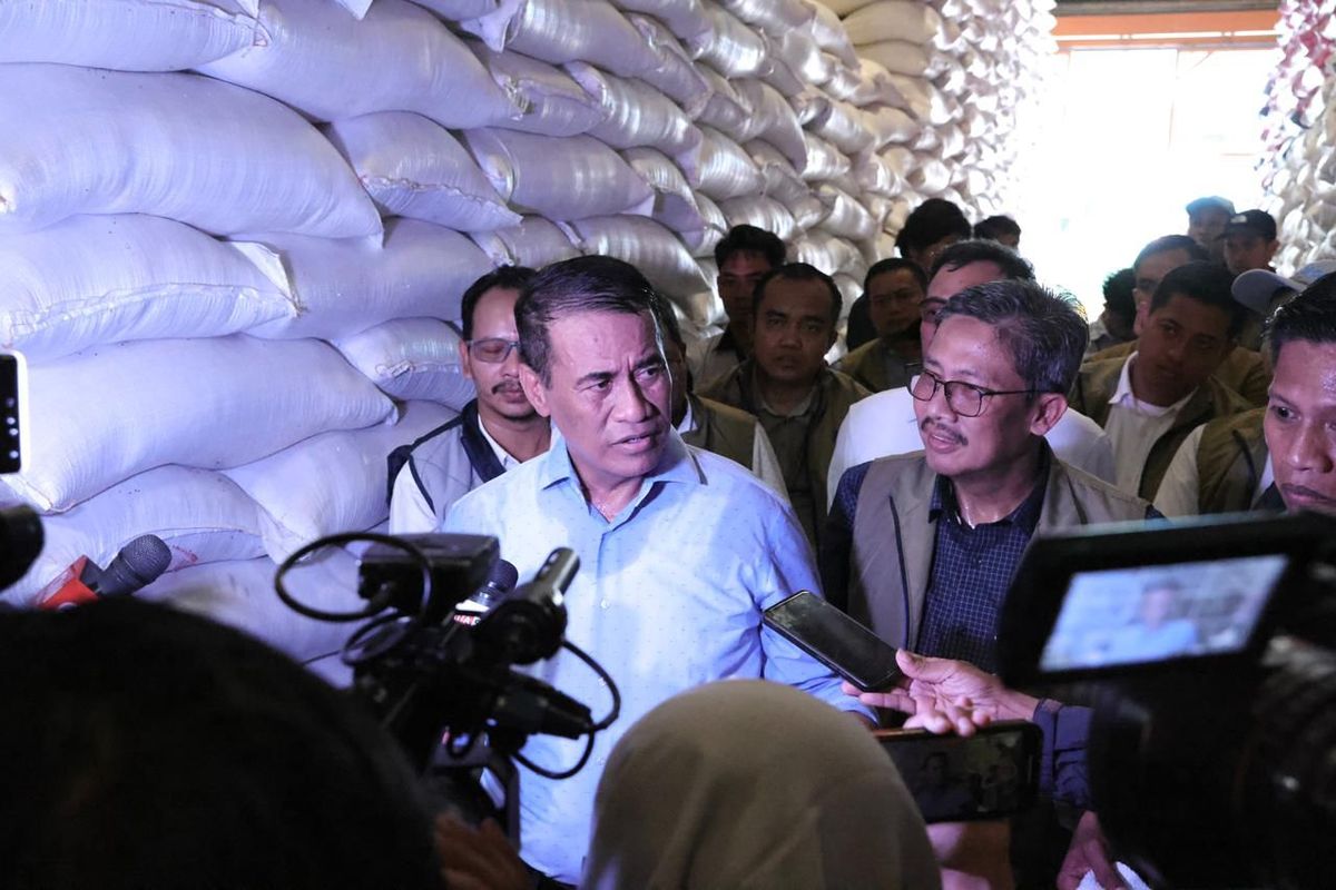 Amran: Stok Beras Pemerintah 4,5 Juta Ton, Gudang Bulog Penuh