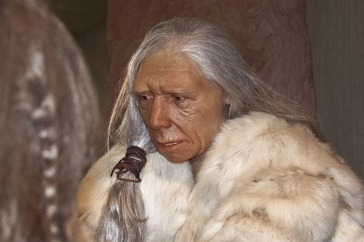 Ilustrasi manusia Neanderthal. Arkeolog menemukan sisa sampah kuno di kawasan perkebunan milik keluarga mendiang Putri Diana di Althorp, Inggris. Diduga manusia Neanderthal, kerabat manusia modern ini adalah penghuni pertama rumah masa kecil Diana Spencer.