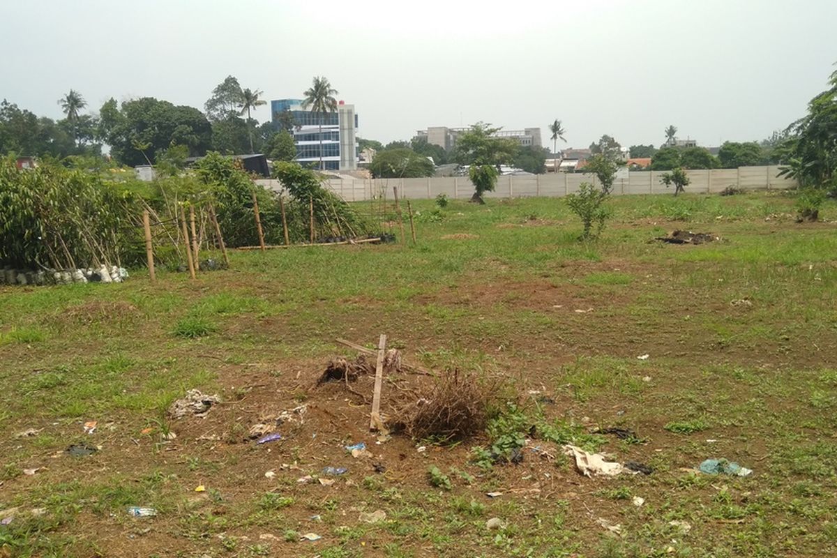 lokasi tempat ditanamnya pohon yang dipindahkan dari Monas ke Kebun Bibit Jagakarsa, Jakarta Selatan, Rabu (29/1/2020)