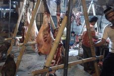 10 Ton Daging Kerbau Murah Asal India Masuk ke Bengkulu