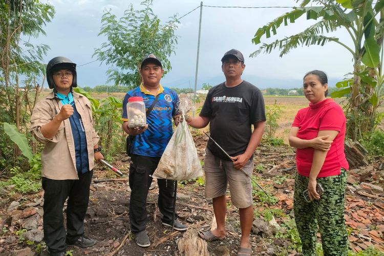 Tim Exalos Indonesia Regional Madiun menunjukkan ular kobra dan telur kobra yang berhasil dievakuasi dari rumah Femi Kustianingsih, warga Desa Buduran, Kecamatan Wonoasri, Kabupaten Madiun, Jawa Timur, Kamis (13/11/2025).