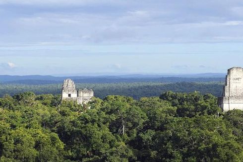 Sudah Ribuan Tahun, Deforestasi Peradaban Maya Masih Tinggalkan Dampak
