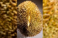 5 BERITA POPULER NUSANTARA: Dari Pesta Durian, Peluncuran KA Joglosemarkerto, hingga Himbauan terkait Reuni 212
