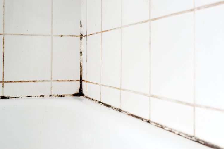 ilustrasi jamur pada lantai keramik di kamar mandi