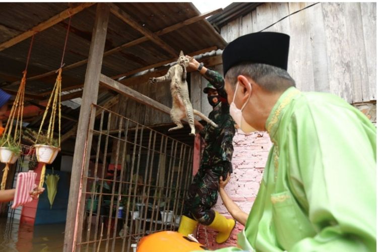 Gubernur Riau Syamsuar bersama Danrem 031/Wira Bima Brigjen TNI M Syech Ismed menyelamatkan seekor kucing yang terjebak di rumah warga yang terendam banjir di Pekanbaru.