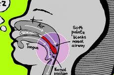 Jam Tidur Konsisten Bantu Terapi Sleep Apnea