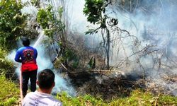 MUI Haramkan Deforestasi, Membakar Hutan, dan Lahan
