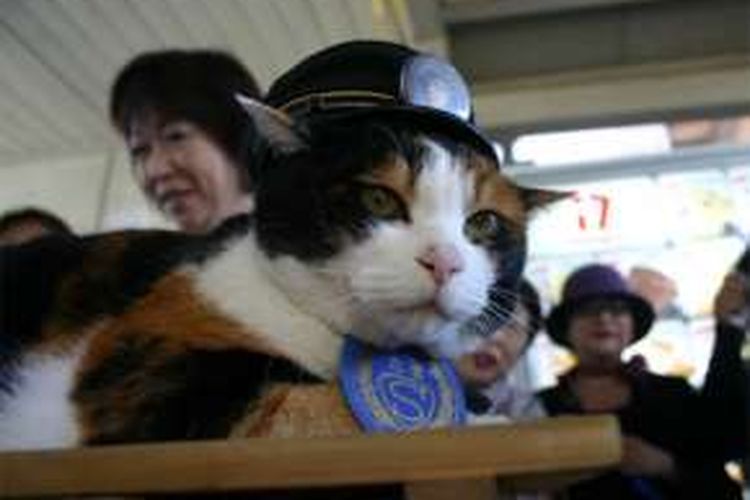 Tama, kucing di stasiun Wakayama