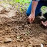 Melihat 10 Manfaat Berkebun yang Mungkin Tak Kita Duga