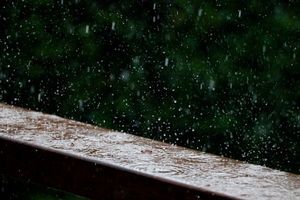 BMKG: Ini Wilayah Berpotensi Hujan Lebat dan Angin Kencang pada 10-11 Januari 2026