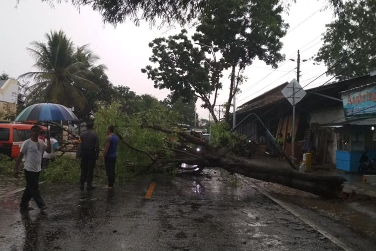 Hujan disertai angin kencang menyebabkan papan reklame dan pohon di jalur utama Purwokerto-Cilacap, tepatnya di Desa Notog dan Patikraja/Kecamatan Patikraja, Kabupaten Banyumas, Jawa Tengah, Kamis (14/11/2019).