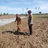 8,27 Hektar Tanaman Bawang Milik Petani di Manggarai Timur Rusak akibat Banjir