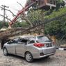 Pohon Tumbang Menimpa Kabel Listrik dan Mobil di Pekanbaru