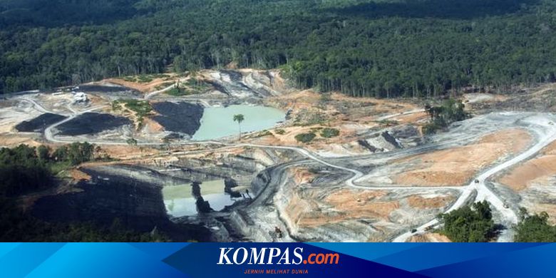 36 Anak Di Kaltim Tewas Tenggelam Di Lubang Tambang Saya Lihat Cucu Mengambang Di Danau Halaman All Kompas Com