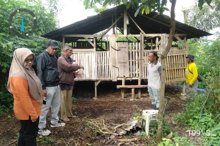 Teror Anjing Liar di Limapuluh Kota: 11 Kambing Mati, 4 Terluka