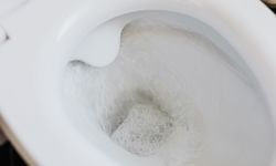 Awas Bahaya Mengintai! Jangan Pernah Siram Toilet Sebelum Menutupnya