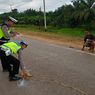Jatuh di Jalan Berlubang, 2 Wanita Tewas Tertabrak Truk di Riau