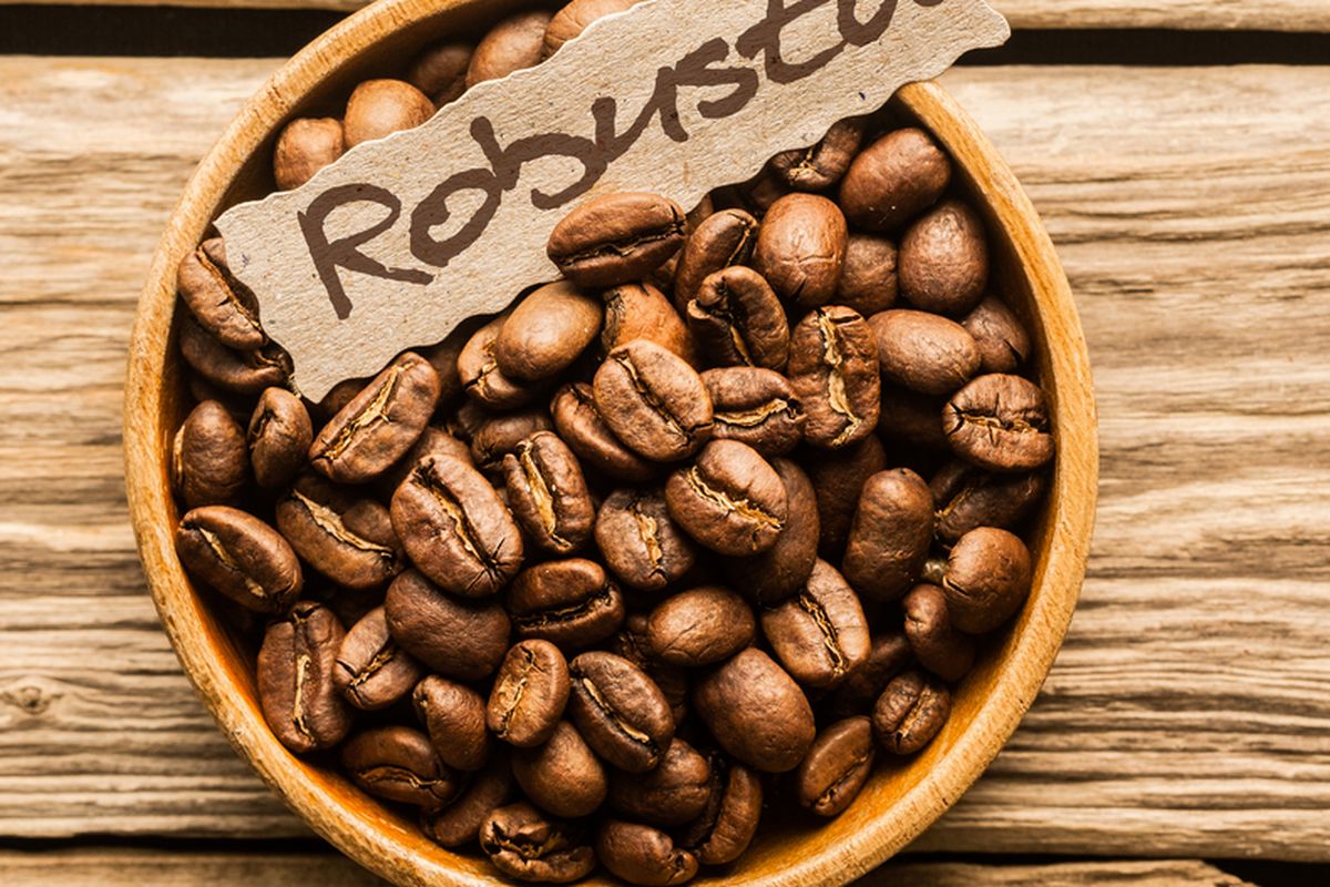 Ilustrasi biji kopi robusta.