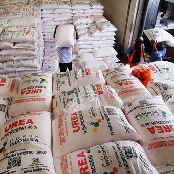 Stok pupuk bersubsidi di Gudang Penyimpanan Pupuk (GPP) Lini III Klaten, Jawa Tengah, Kamis (9/1/2025).