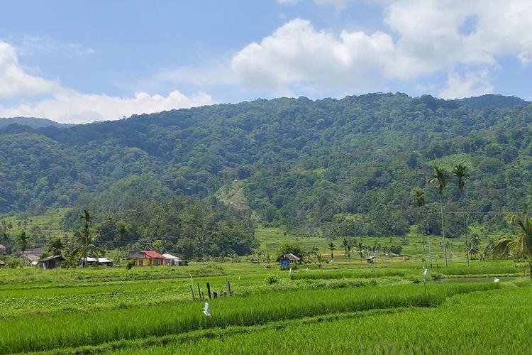 Pemandangan di tepi Danau Maninjau, Kecamatan Tanjung Raya, Kabupaten Agam, Sumatera Barat dari ketinggian, Sabtu (13/4/2024). 