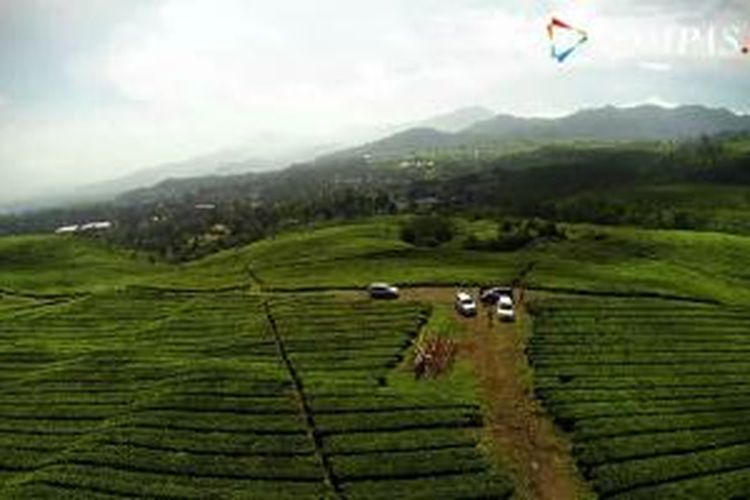 Kebun Teh Ciater, Jawa Barat, direkam dari udara menggunakan drone.