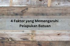 4 Faktor yang Memengaruhi Pelapukan Batuan