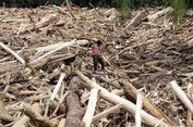 Sudah Ada Tersangka di Balik Gelondongan Kayu Banjir Tapanuli Selatan