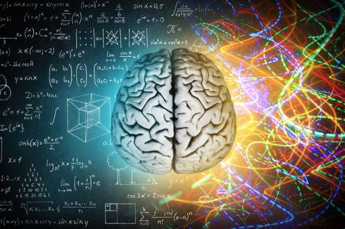Membongkar Mitos Beda Otak Kanan dan Kiri 