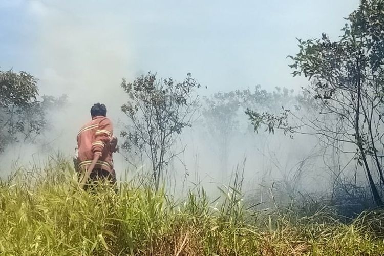 Tim pemadam kebakaran Kabupaten Natuna, Kepulauan Riau memadamkan api yang melahap lahan milik warga seluas satu hektar di Tegul Laksamana, Kecamatan Bunguran Timur, Kamis (7/3/2024).