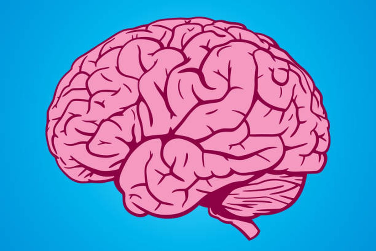Ilustrasi mitos tentang otak manusia.
