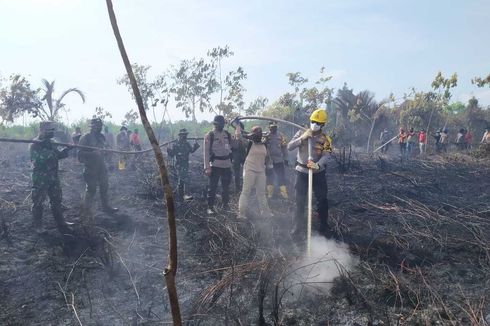 Polisi Tangkap 8 Pelaku Pembakar Hutan dan Lahan di Riau