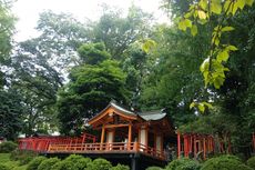 Nezu Shrine, Surga Tersembunyi di Tengah Sibuknya Tokyo