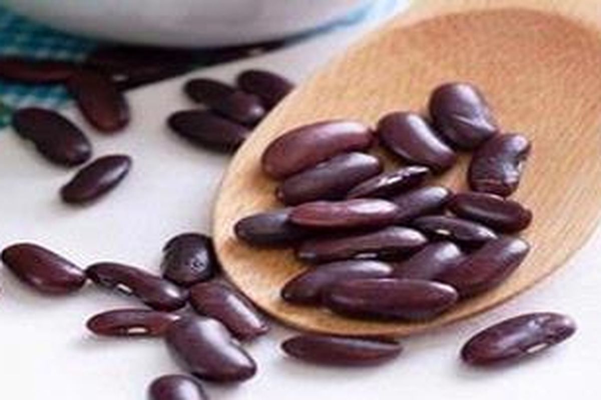 Kacang merah mengandung protein tinggi yang mampu meningkatkan kadar hormon tirosin di otak.