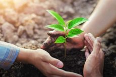 Manfaat Menanam Pohon untuk Diri Sendiri dan Anak Cucu