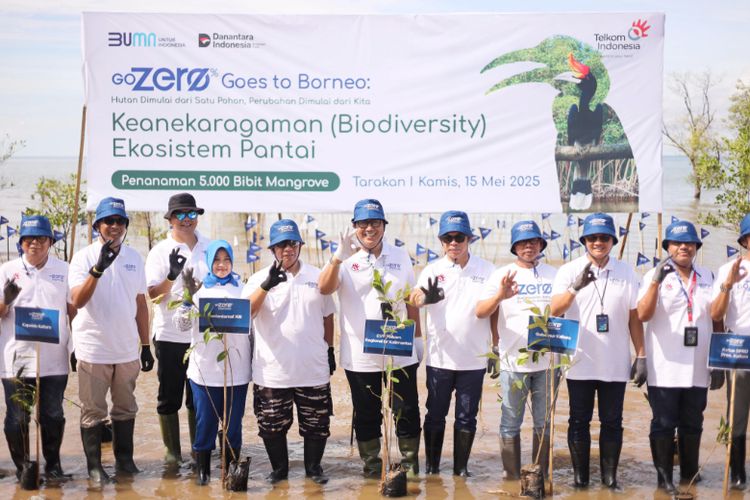 Penanaman 5.000 bibit mangrove pada acara GoZero% Goes to Borneo di Tarakan. 