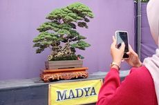 Menengok Kondisi Panti Werdha Damai Manado yang Porak-poranda, Kursi Roda Hangus, Hanya Sisa Puing