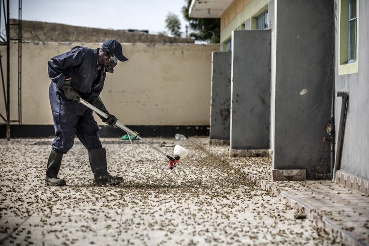 Seorang petugas National Youth Service Kenya menyemprotkan pestisida untuk melawan wabah belalang yang terus-terusan melanda bagian barat laut negara itu.