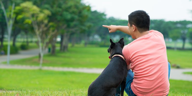 Alasan Anjing Peliharaan Bersandar Pada Pemiliknya Halaman All Kompas Com Alasan Anjing Peliharaan Bersandar Pada Pemiliknya Halaman All Kompas Com