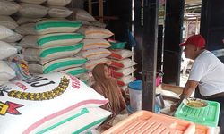 Bos Food Station Optimis Harga Beras Medium Bisa Ditekan di Bawah Rp 9.000 per Kg