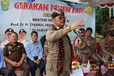 Panen Raya, Mentan SYL Pastikan Ketersediaan Beras di DIY Melimpah