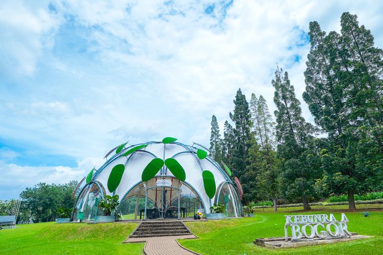 6 Ide Aktivitas Liburan di Kebun Raya Bogor, Bisa Ikut Kelas Edukasi