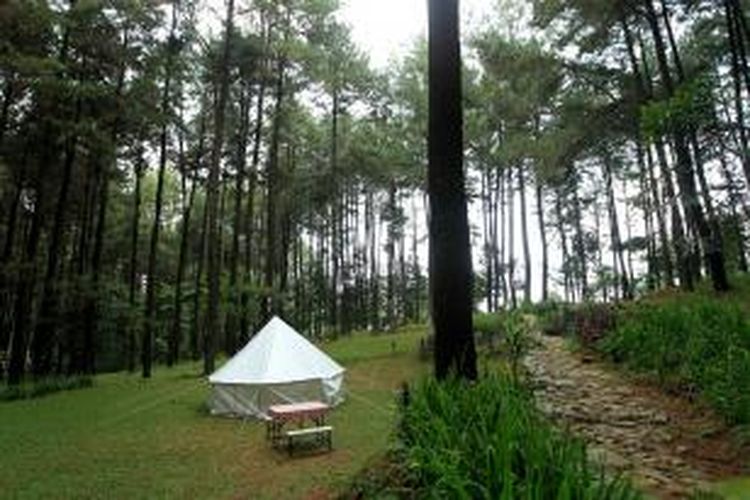 Glamourous Camping atau Glamping di Taman Wisata Alam Gunung Pancar, Bogor. 