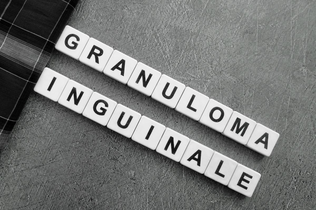 Ilustrasi Granuloma Inguinale