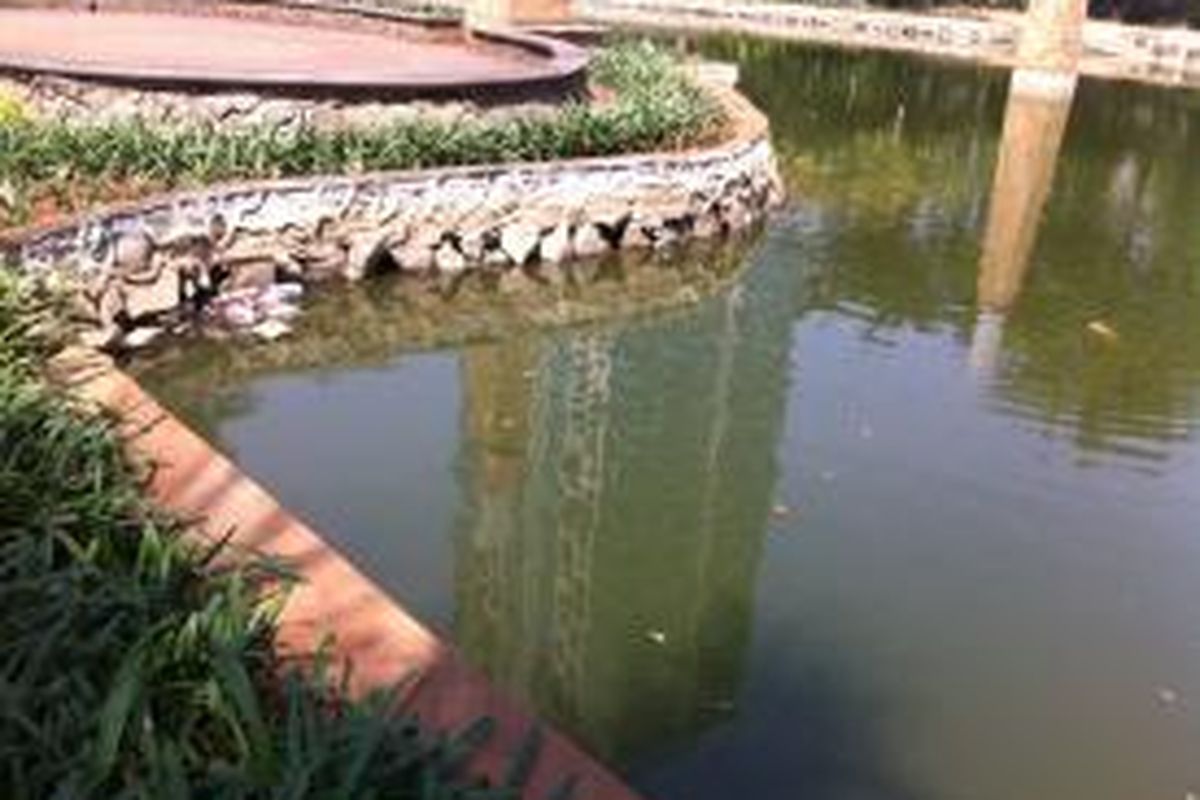 Sebagian besar ikan mati di kolam Taman Ayodia, Kebayoran Baru, Jakarta Selatan, Selasa (21/7/2015).