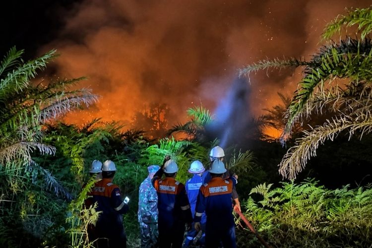 Menakar Perlunya Status Bencana Nasional untuk Karhutla...