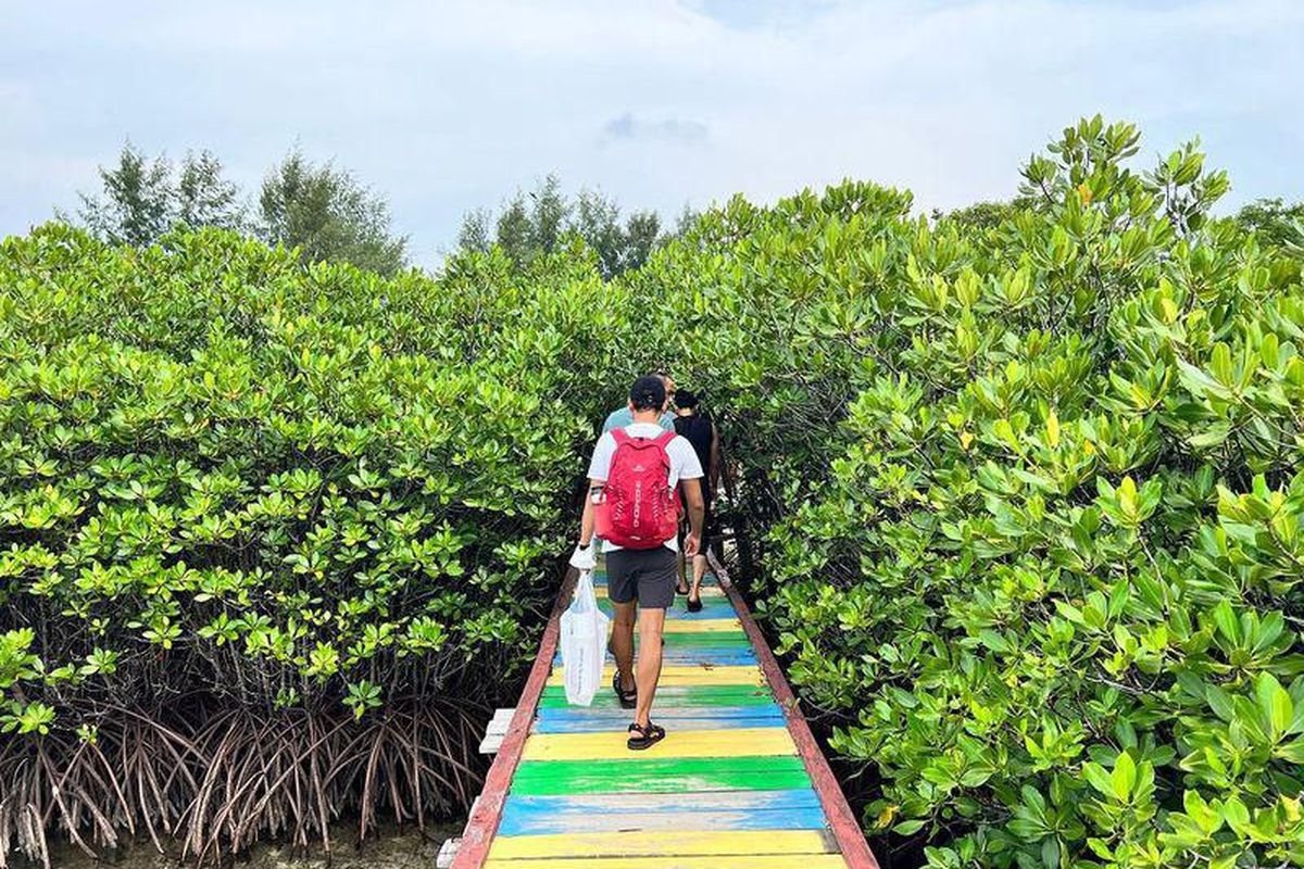 Trip wisata tanam mangrove bersama Bumi Journey di Pulau Harapan.
