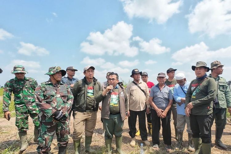 300 Hektare Sawit Ilegal di Taman Nasional Berbak Sembilang Ditumbangkan, 10.700 Batang Dimusnahkan