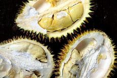 Mau Tahu Tips Hilangkan Aroma Durian? Pejamkan Mata...
