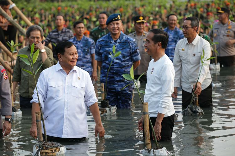 Menteri Pertahanan Prabowo Subianto dan Presiden Joko Widodo (kiri ke kanan) saat acara puncak penanaman mangrove serentak seluruh Indonesia yang digelar Tentara Nasional Indonesia di Taman Wisata Alam Kapuk Angke, Jakarta, Senin (15/5/2023).