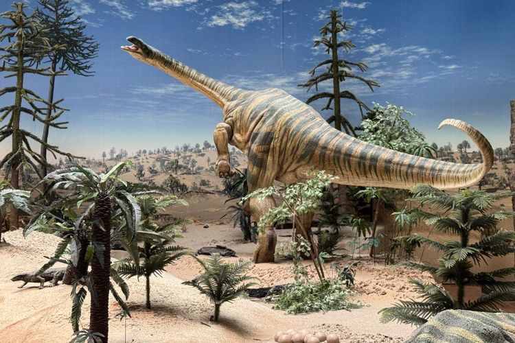 Dinosaurus di Jerman barat daya: Dinosaurus Plateosaurus adalah sauropodomorph yang sangat besar. 210 juta tahun yang lalu, ia adalah tetrapoda darat terbesar, tetapi termasuk kecil dibandingkan dinosaurus raksasa berleher panjang yang muncul kemudian. Fosil Plateosaurus telah ditemukan, misalnya, di Stuttgart-Degerloch dan Trossingen. 210 juta tahun yang lalu, iklimnya hangat dan kering. 